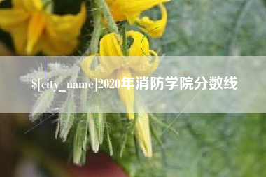 龙口2020年消防学院分数线