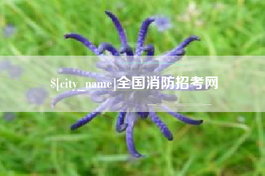 龙口全国消防招考网