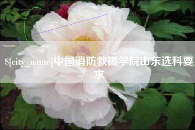 龙口中国消防救援学院山东选科要求