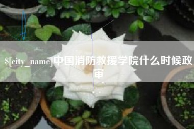 龙口中国消防救援学院什么时候政审