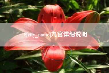 龙口九宫详细说明