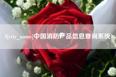 龙口中国消防产品信息查询系统1