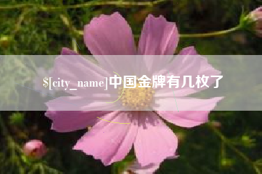 龙口中国金牌有几枚了