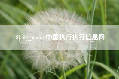 龙口中国执行执行信息网
