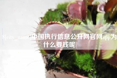 龙口中国执行信息公开网官网app为什么要钱呢