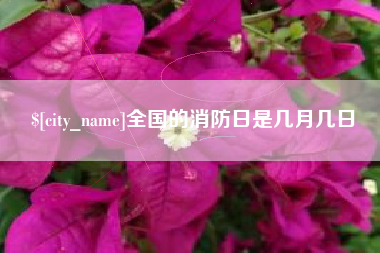 龙口全国的消防日是几月几日