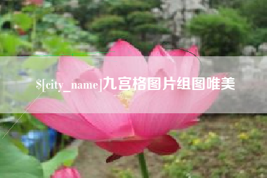 龙口九宫格图片组图唯美