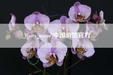 龙口中国消防官方