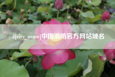 龙口中国消防官方网站域名