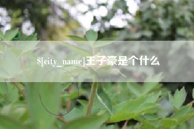 龙口王子豪是个什么