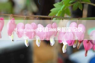 龙口中国5000米国家记录
