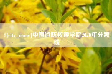 龙口中国消防救援学院2020年分数线