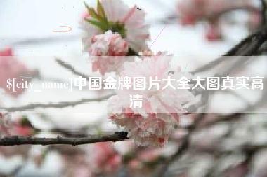 龙口中国金牌图片大全大图真实高清