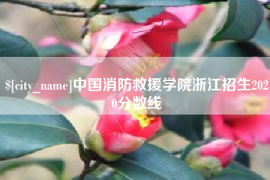 龙口中国消防救援学院浙江招生2020分数线