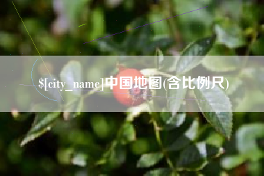 龙口中国地图(含比例尺)