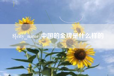 龙口中国的金牌是什么样的