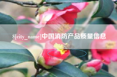 龙口中国消防产品质量信息
