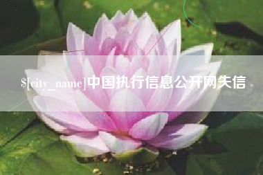 龙口中国执行信息公开网失信