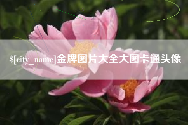 龙口金牌图片大全大图卡通头像