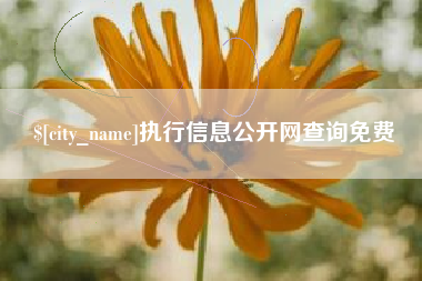 龙口执行信息公开网查询免费