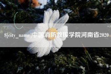 龙口中国消防救援学院河南省2020